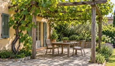 Piante rampicanti per pergola: scelta e manutenzione