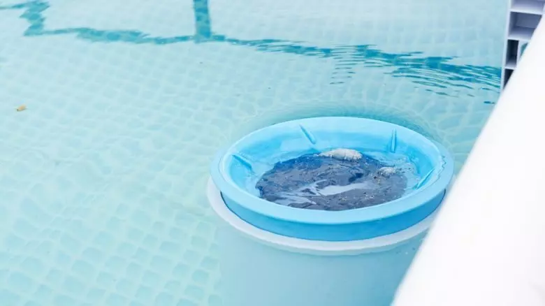 Piscine fuori terra: un tuffo nel relax estivo senza rinunciare allo stile