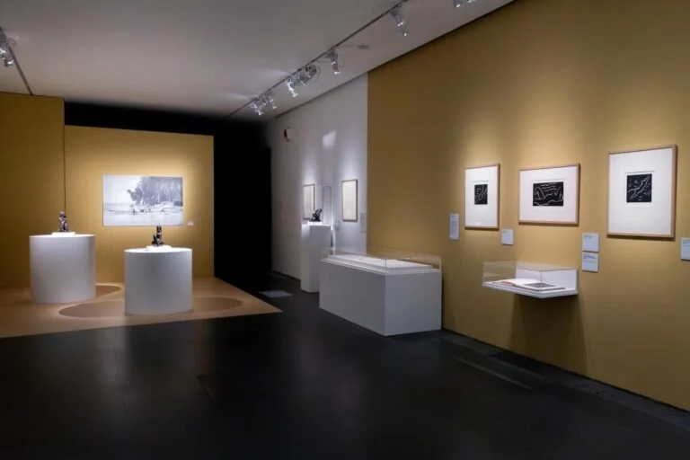 Sala della mostra di Matisse al MUDEC con pareti calde e opere illuminate