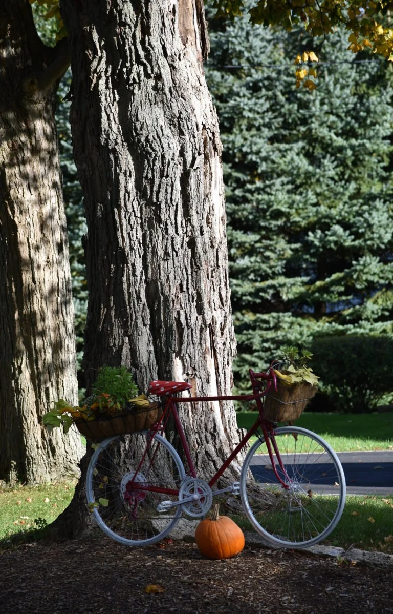 Fotografia illustrativa di una bicicletta con una zucca. Non raffigura Recale né l’evento.